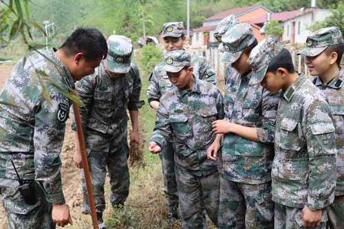 思图唤回迷途的羔羊 